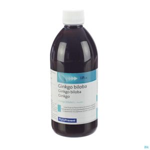 Phytostandard Gingko Vlb Extract 500ml