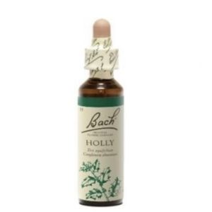 Bach Flower Remedie 15 Holly 20ml