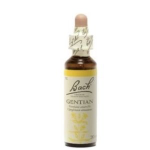 Bach Flower Remedie 12 Gentian 20ml