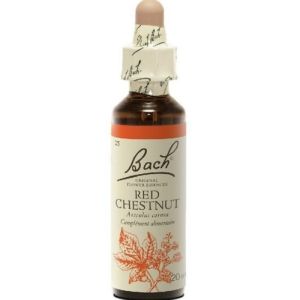 Bach Flower Remedie 25 Red Chestnut 20ml