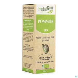 Herbalgem Appelboom Maceraat 50ml