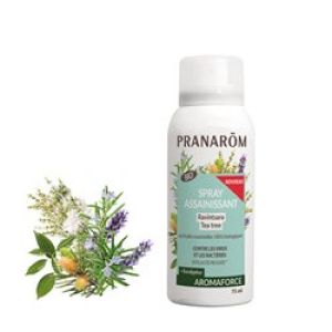 Aromaforce Zuiverende Spray Ravin. Eucal. Bio 75ml