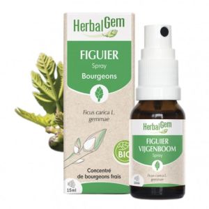 Herbalgem Vijgenboom Bio Spray 15ml