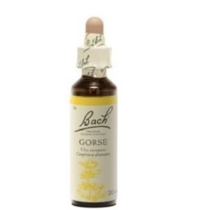 Bach Flower Remedie 13 Gorse 20ml