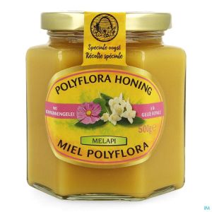 Melapi Polyflora+koninginnebrij 500g 5534 Revogan