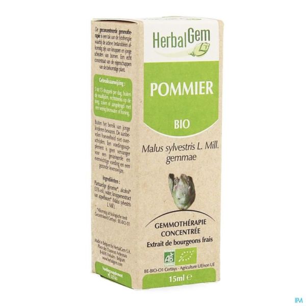 Herbalgem Appelboom Maceraat 15ml