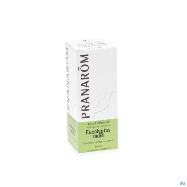 Eucalyptus Radiata Ess Olie 10ml Pranarom