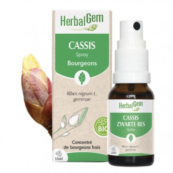 Herbalgem Zwarte Bes Bio Spray 15ml
