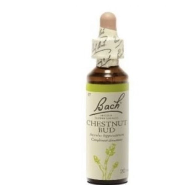 Bach Flower Remedie 07 Chestnut Bud 20ml