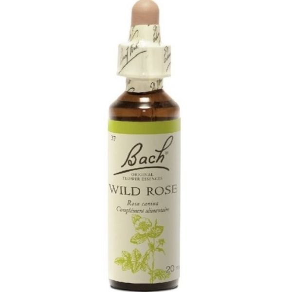 Bach Flower Remedie 37 Wild Rose 20ml